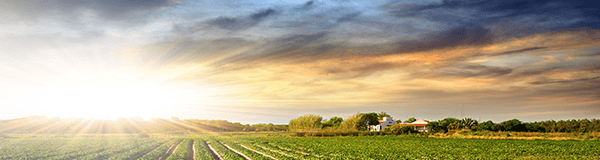 EXIM has export specialists ready to help grow your business abroad.