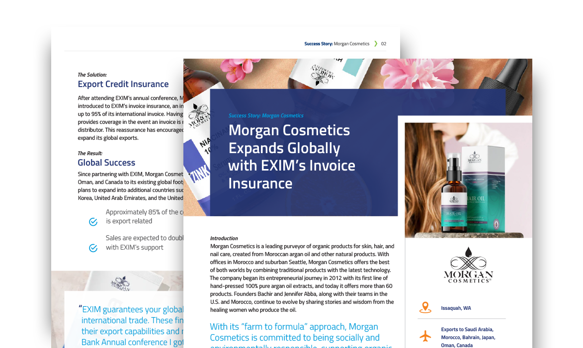 Free Download: Morgan Cosmetics Success Story